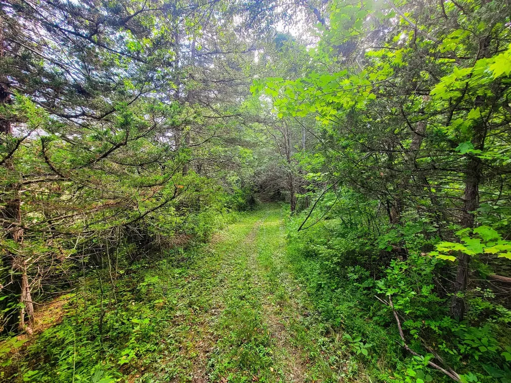 4547 Route 74 Shoreham VT 05770