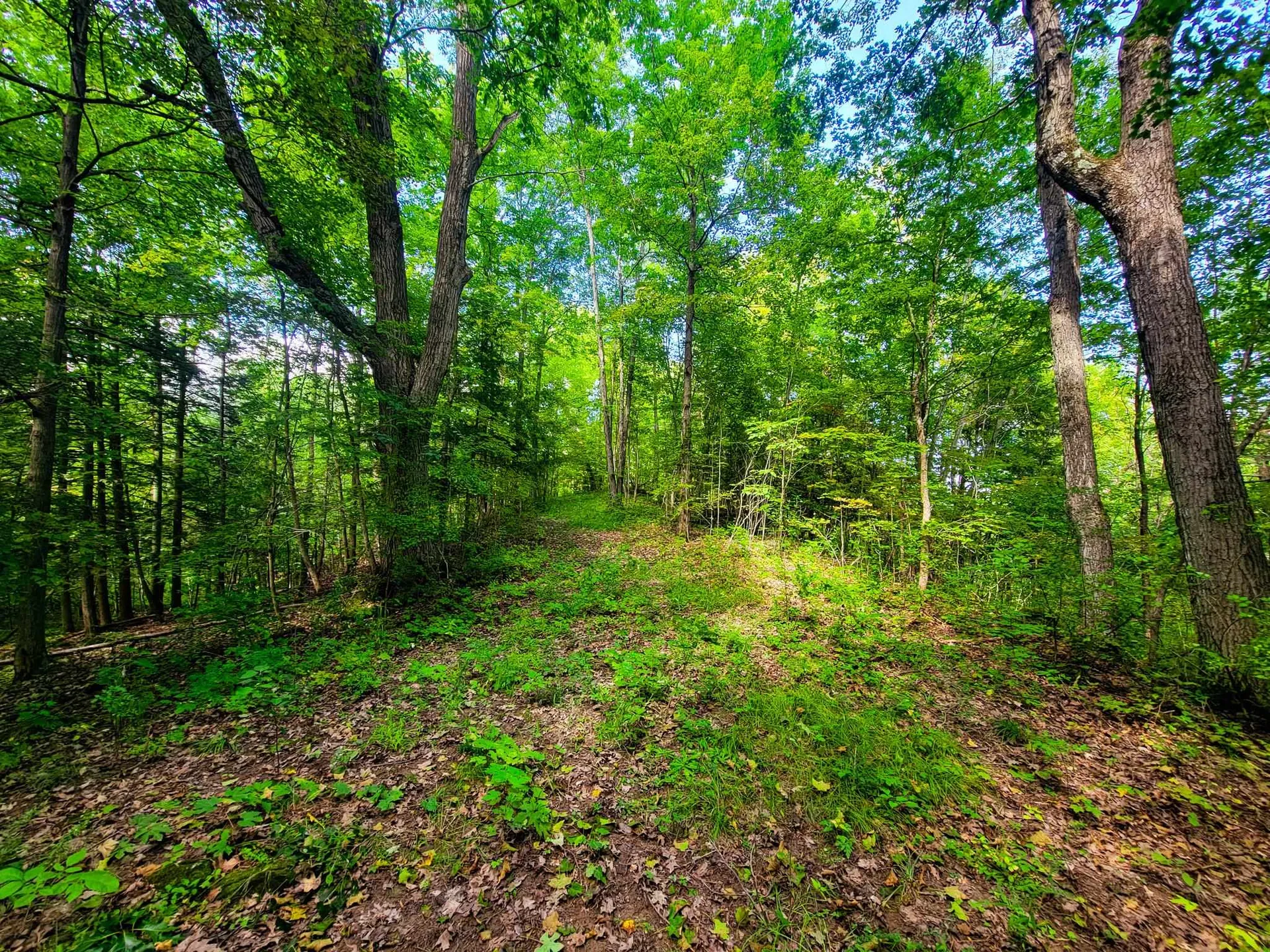 4547 Route 74 Shoreham VT 05770