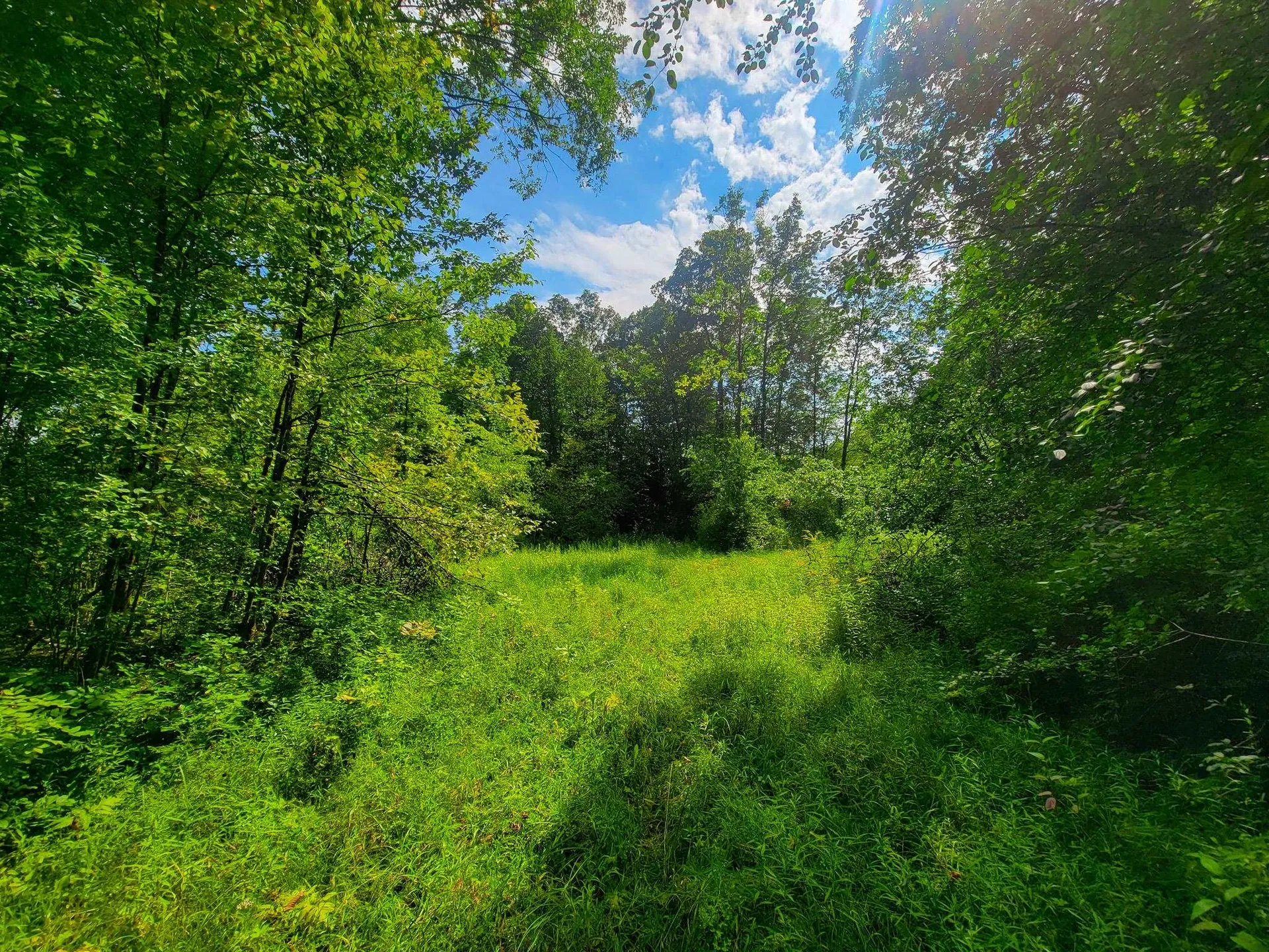 4547 Route 74 Shoreham VT 05770
