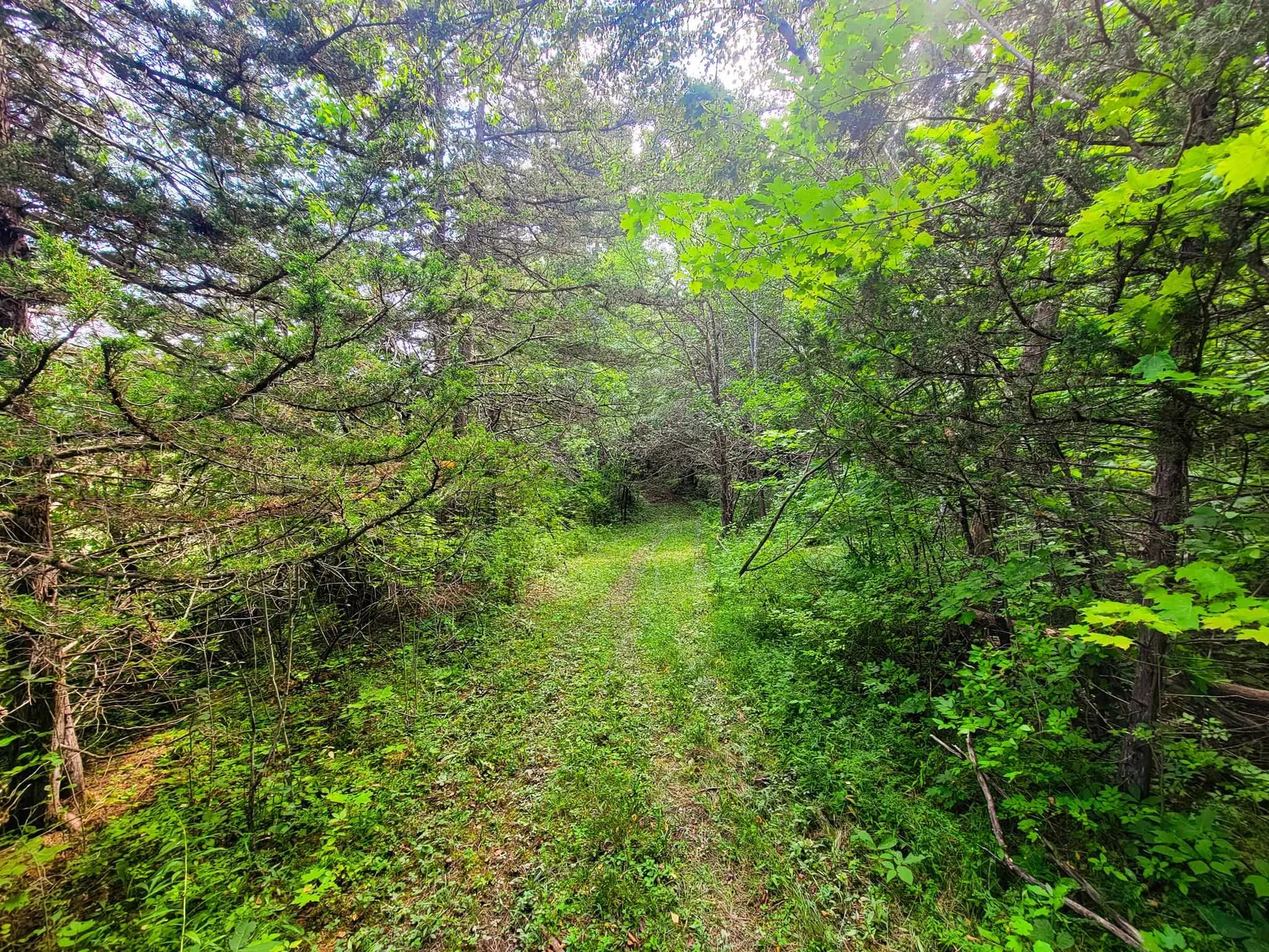 4547 Route 74 Shoreham VT 05770