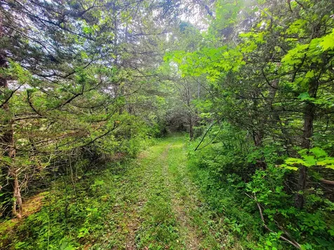 4547 Route 74 Shoreham VT 05770
