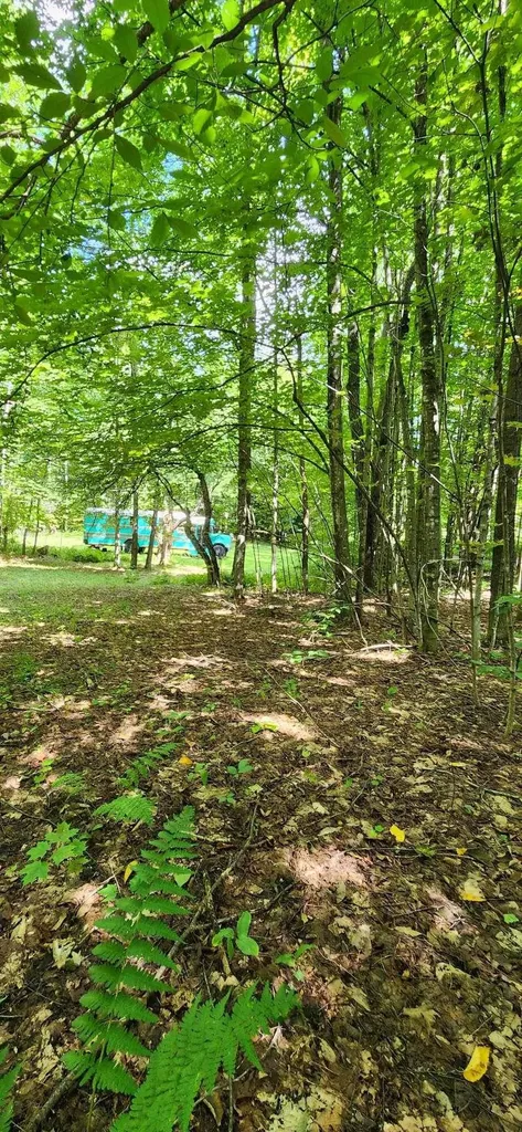 0 Stackpole Road Barnard VT 05031