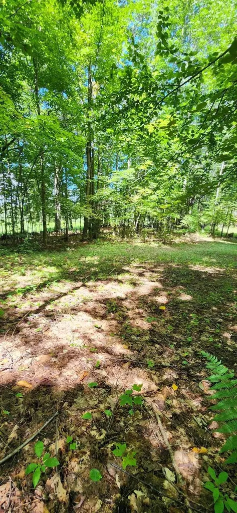 0 Stackpole Road Barnard VT 05031