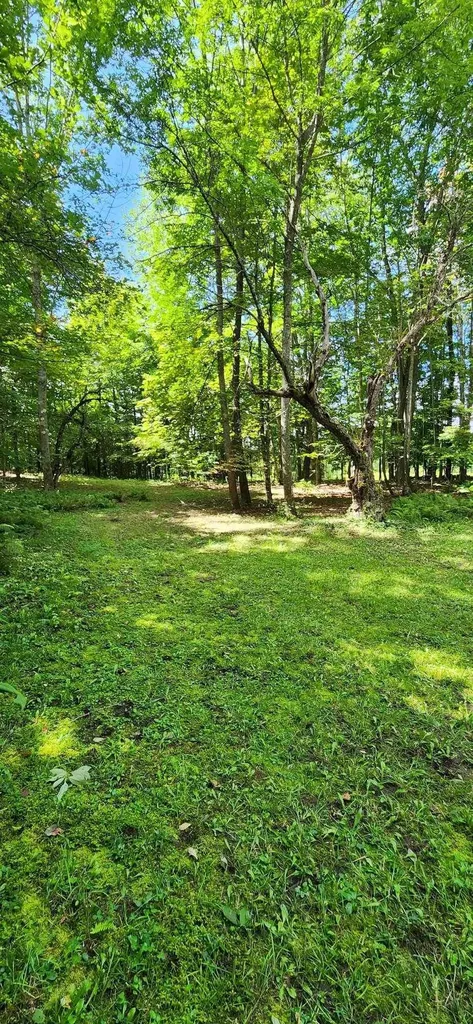 0 Stackpole Road Barnard VT 05031