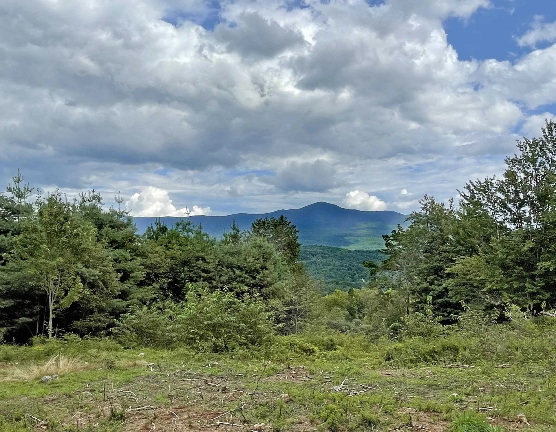 724 York Hill Road Lincoln VT 05443