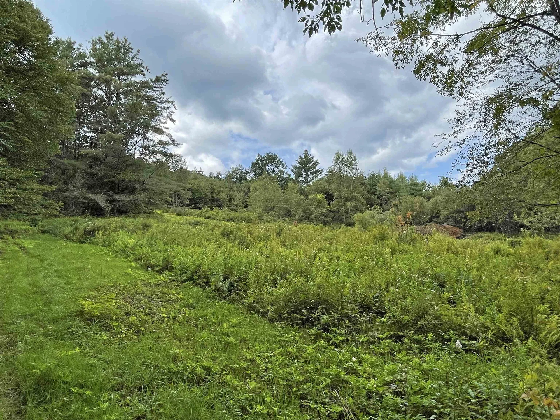 724 York Hill Road Lincoln VT 05443