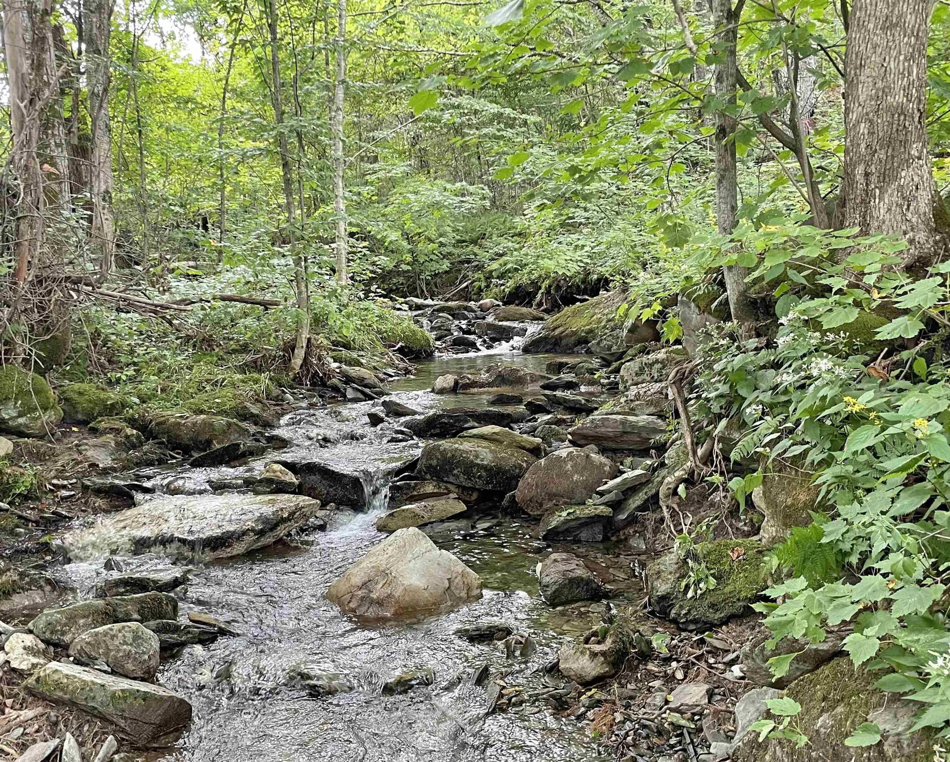 724 York Hill Road Lincoln VT 05443