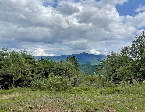724 York Hill Road Lincoln VT 05443