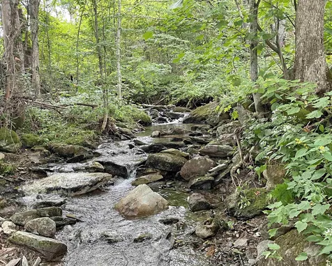 724 York Hill Road Lincoln VT 05443