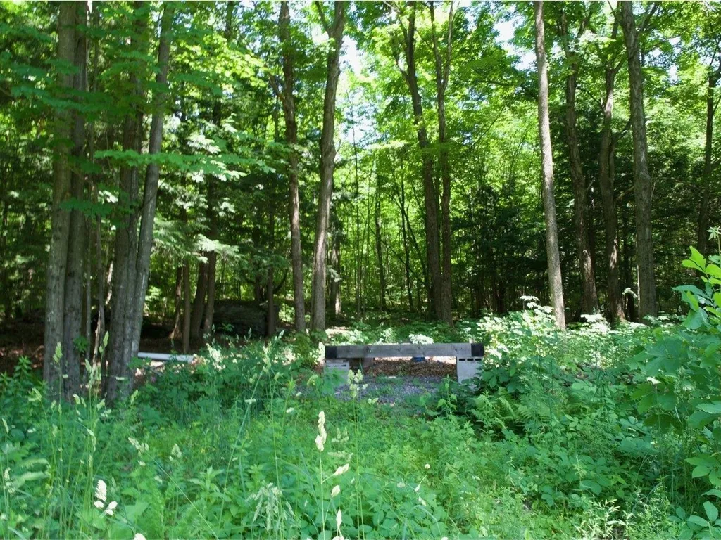 186 Rollin Irish Road Milton VT 05468