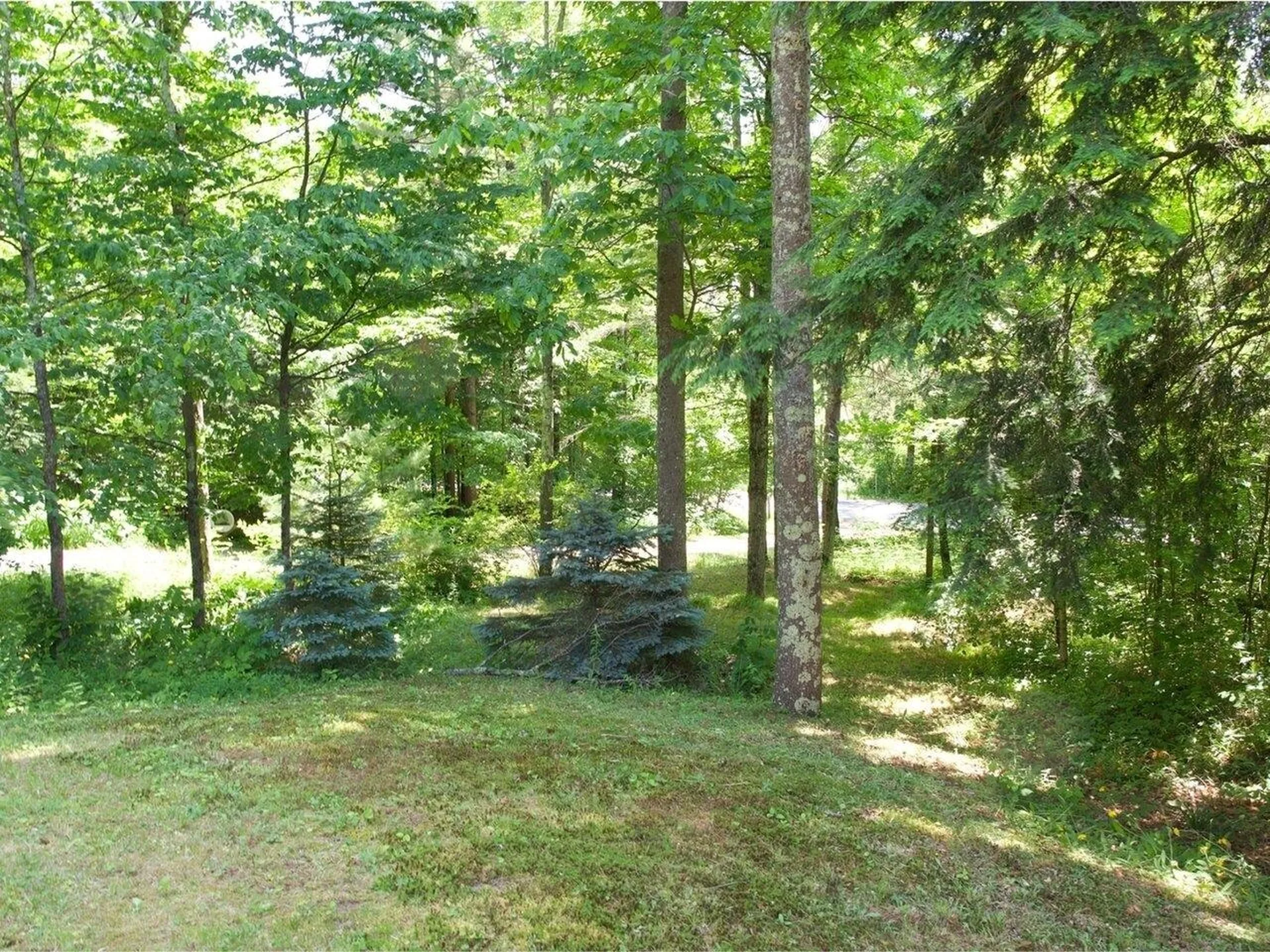 186 Rollin Irish Road Milton VT 05468