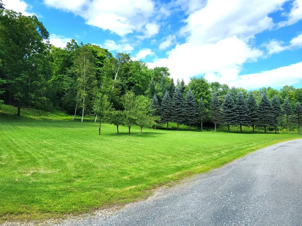 1567 Mt. Hunger Road Barnard VT 05031-0884