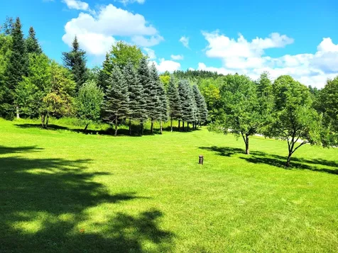 1567 Mount Hunger Road Barnard VT 05031-0884