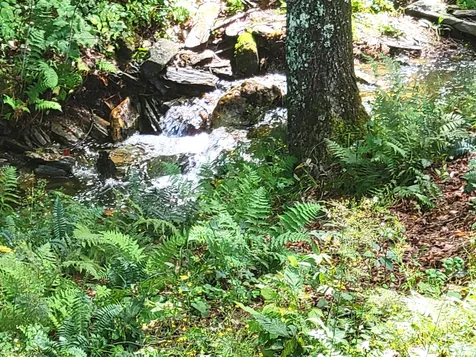 1567 Mount Hunger Road Barnard VT 05031-0884