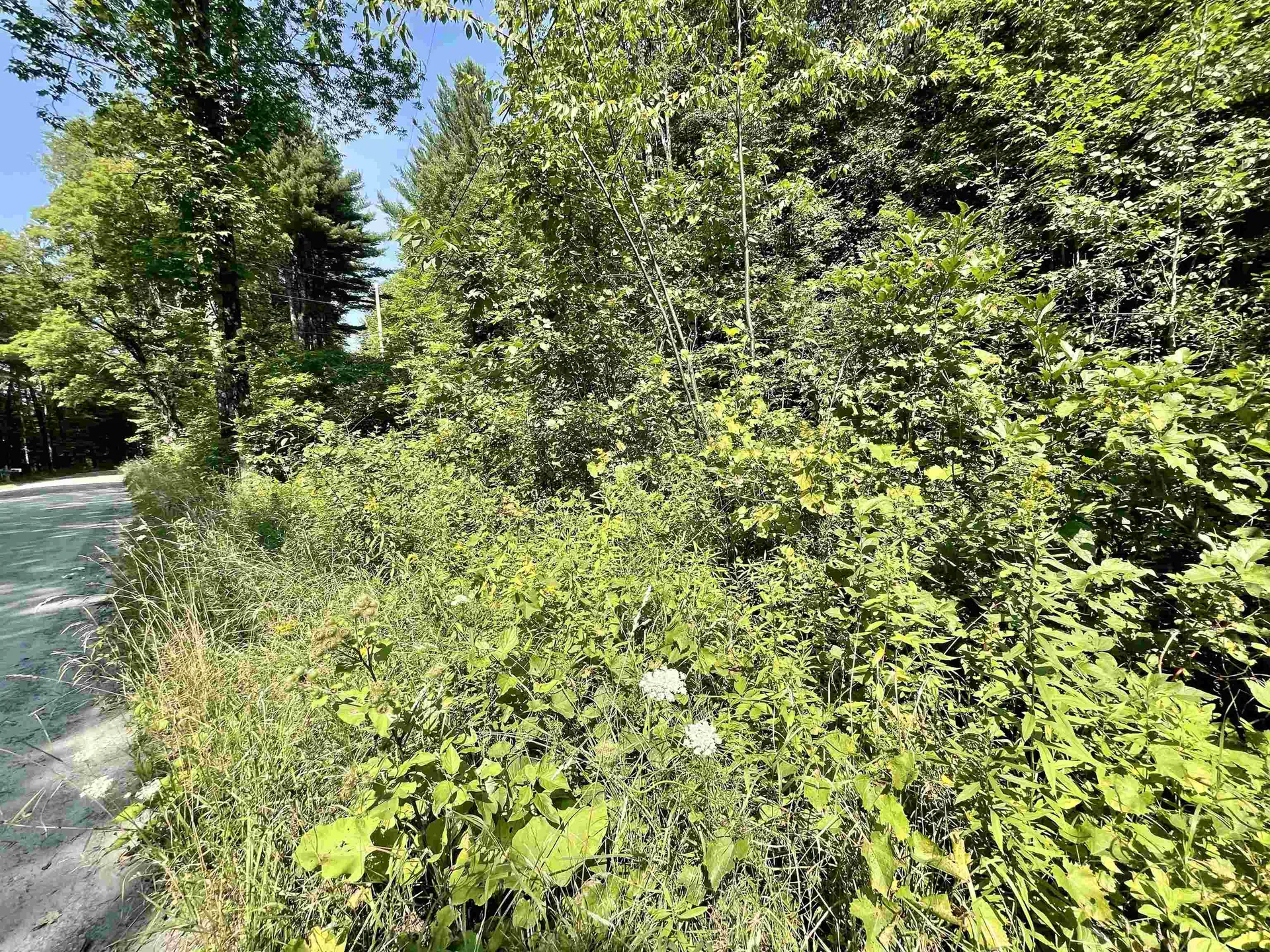3438 Royalton Turnpike Barnard VT 05031