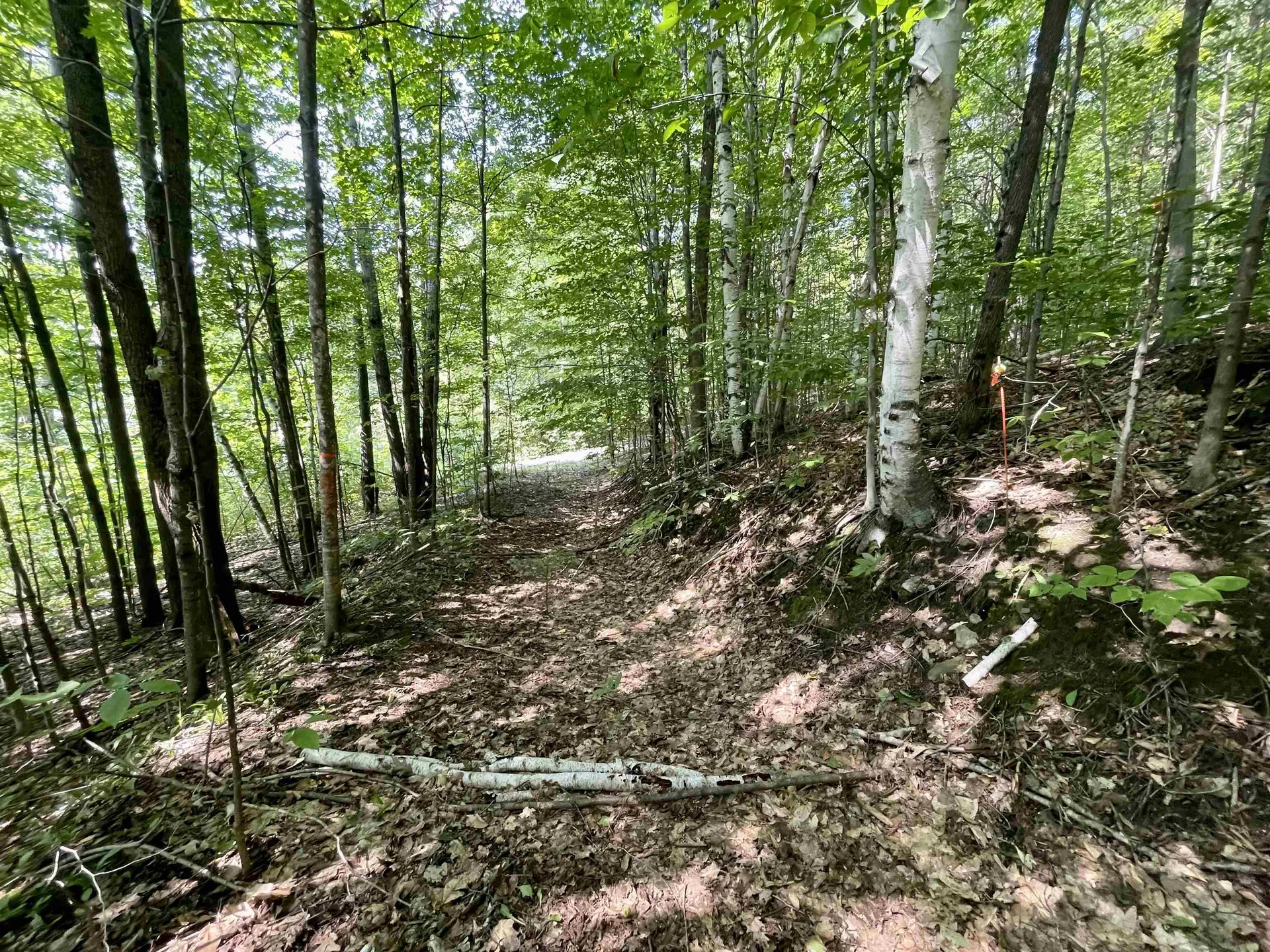 3438 Royalton Turnpike Barnard VT 05031