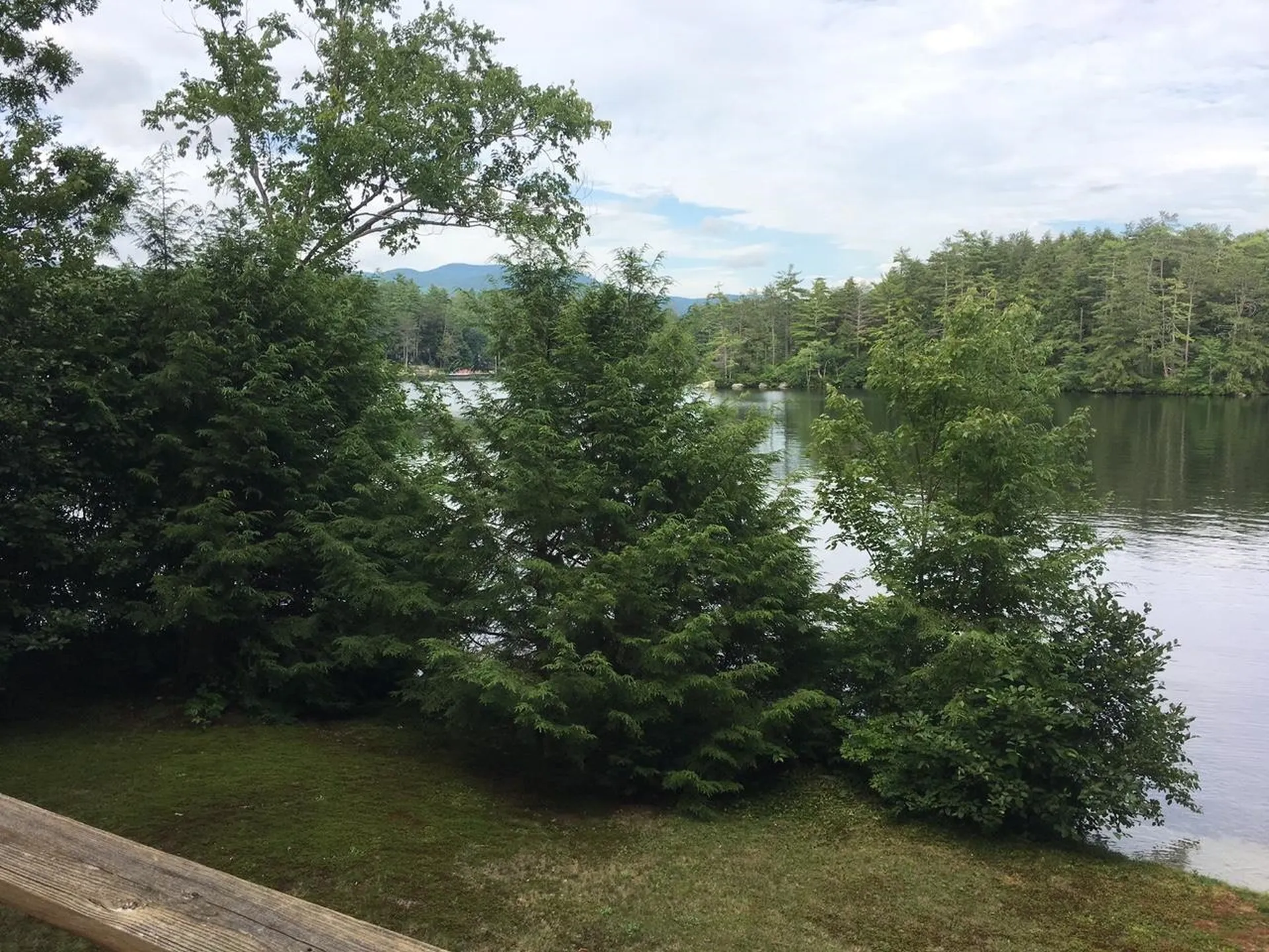 51 Buzzell Cove Road Moultonborough NH 03254