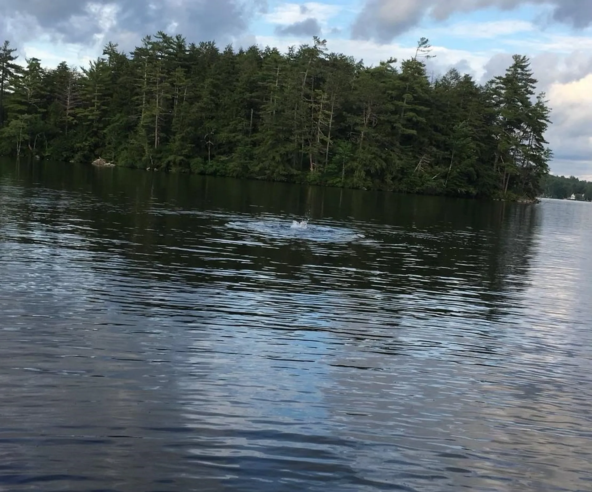 51 Buzzell Cove Road Moultonborough NH 03254