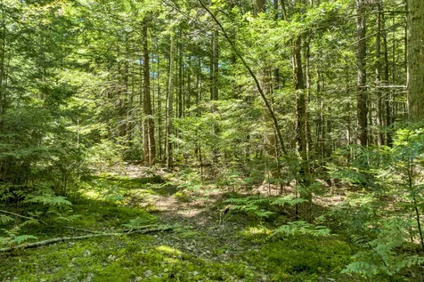 Wilkinson Swamp Road Effingham NH 03882