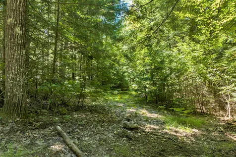 Wilkinson Swamp Road Effingham NH 03882