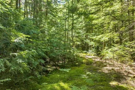 Wilkinson Swamp Road Effingham NH 03882