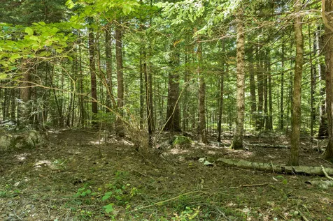 Wilkinson Swamp Road Effingham NH 03882
