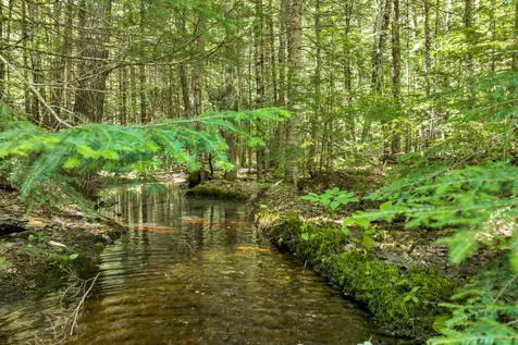 Wilkinson Swamp Road Effingham NH 03882