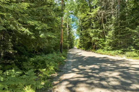 Wilkinson Swamp Road Effingham NH 03882