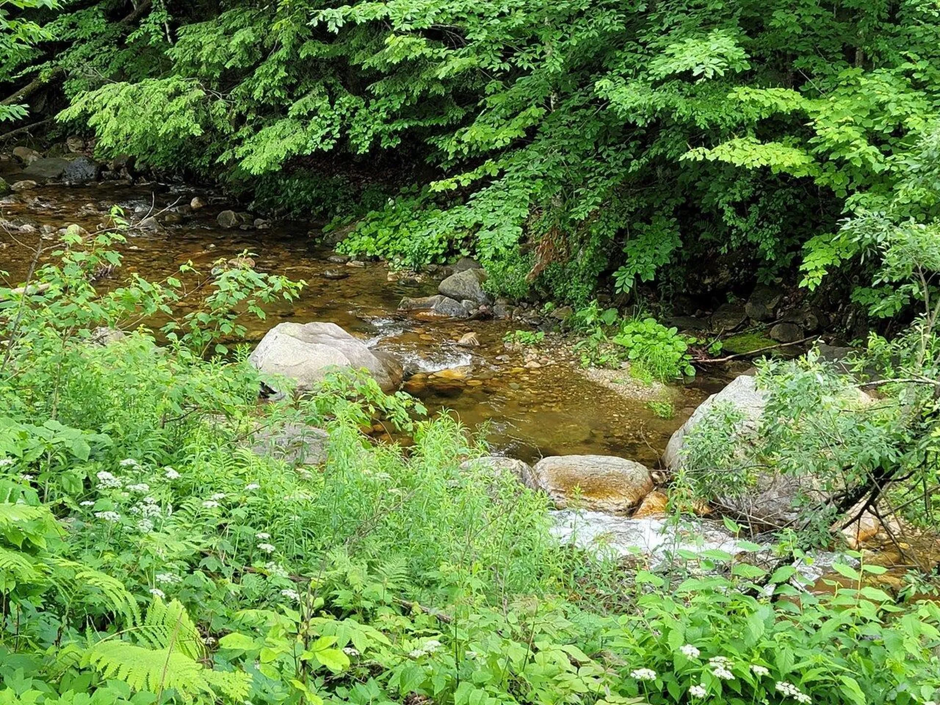 637 Town Hill Road Goshen VT 05733