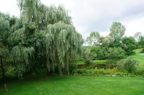 300 Blush Hill Road Waterbury VT 05676