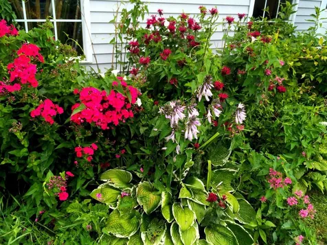 300 Blush Hill Road Waterbury VT 05676
