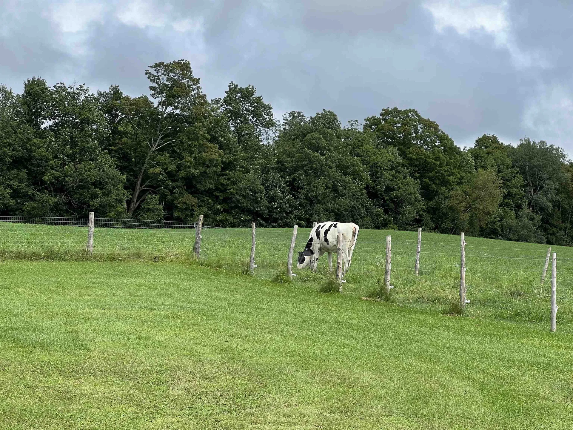 306 King George Farm Road Sutton VT 05867