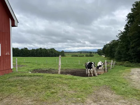 306 King George Farm Road Sutton VT 05867
