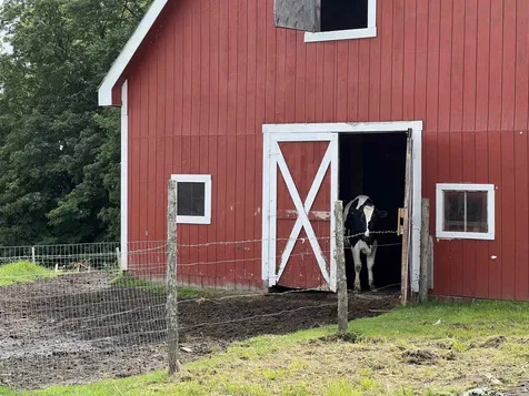 306 King George Farm Road Sutton VT 05867