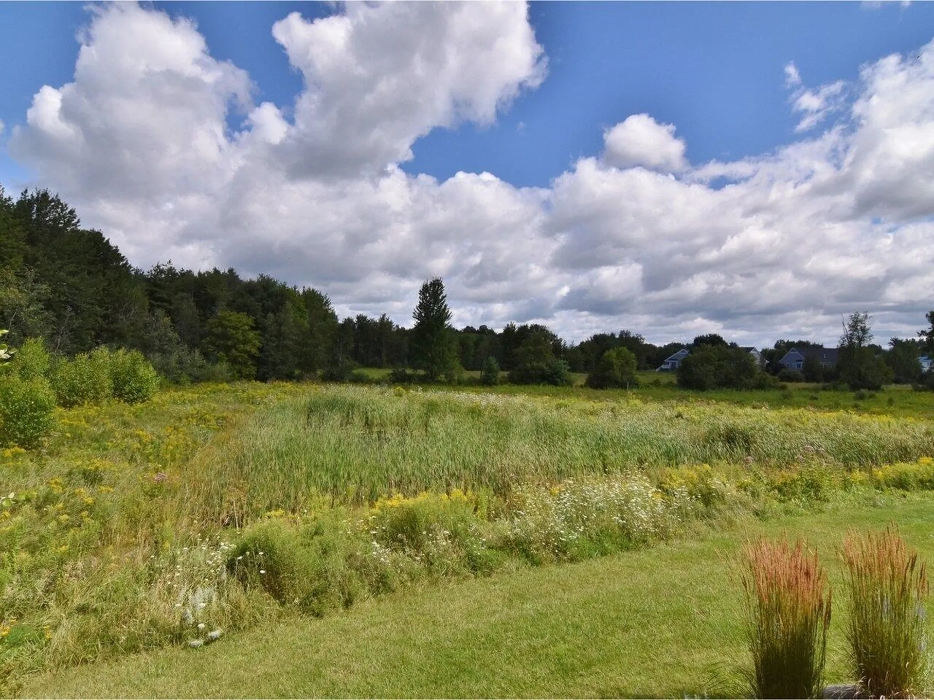 221 Creeks Edge Drive Williston VT 05495