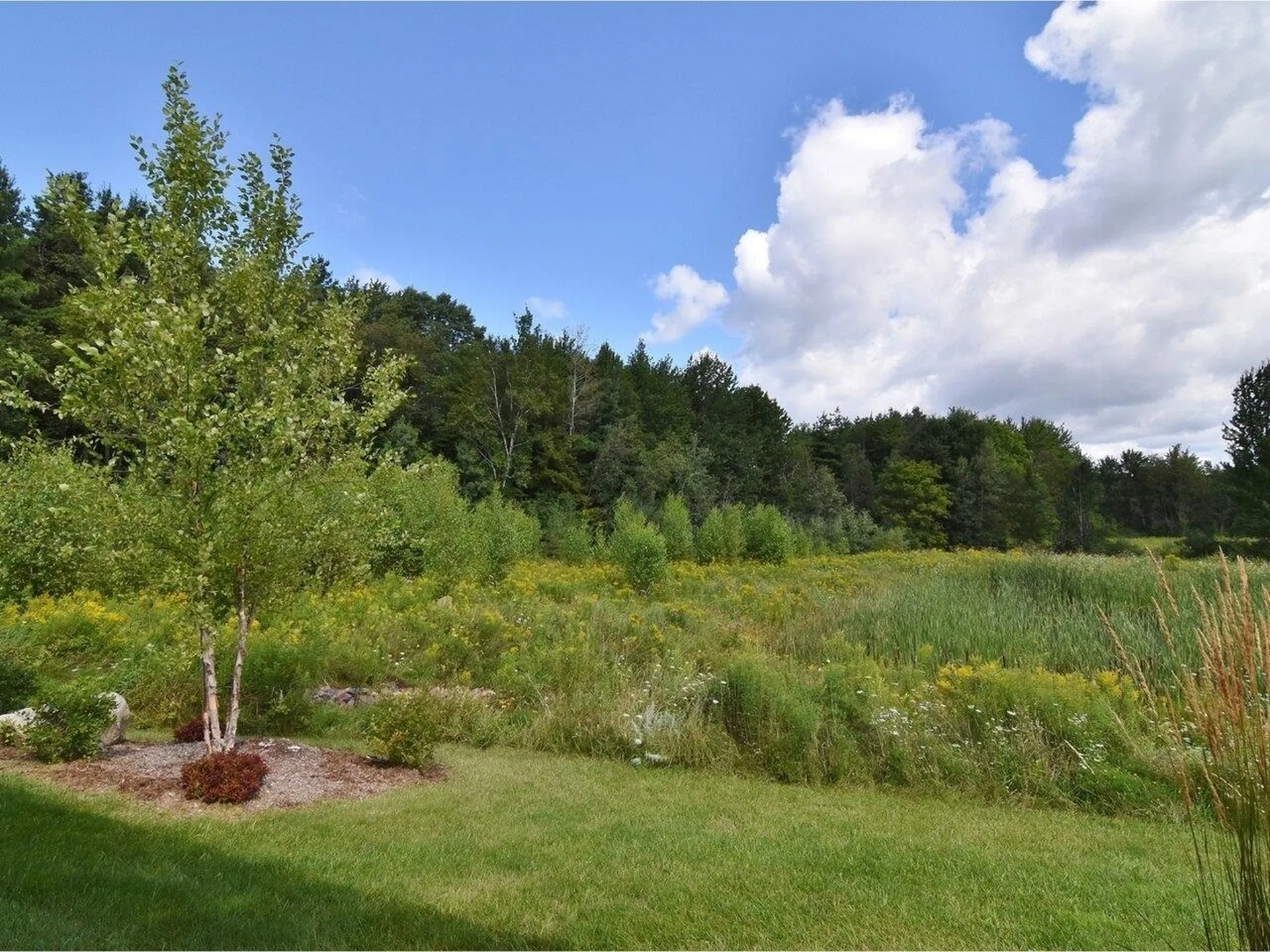 221 Creeks Edge Drive Williston VT 05495