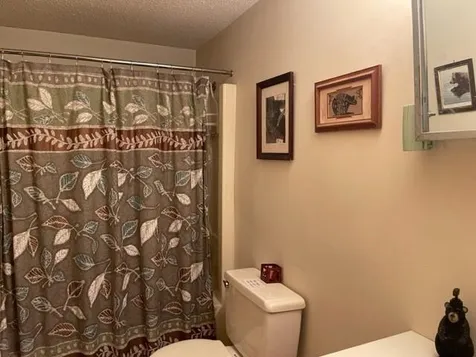 4l-4 Mountainview Road Bartlett NH 03845