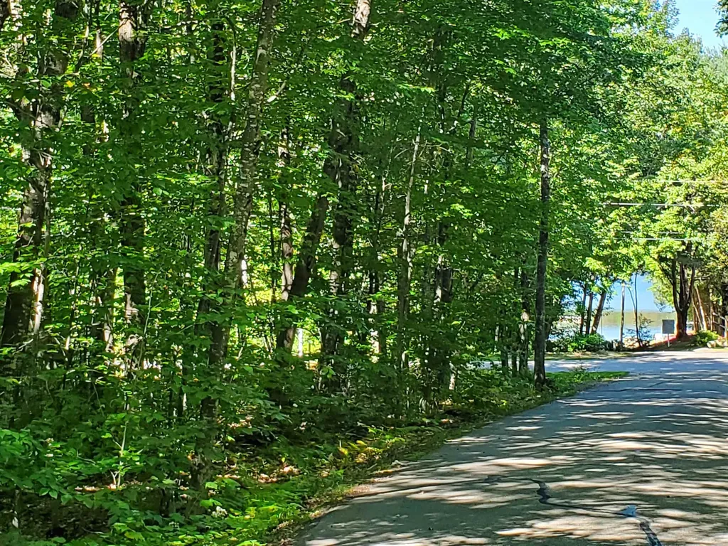 Lot 42 Heritage Road Tuftonboro NH 03816