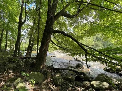 3 Cold Springs Road Bristol VT 05443