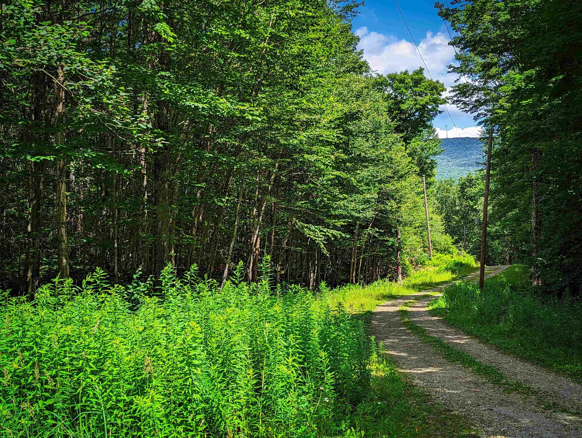 Alpenwald Lane Readsboro VT 05350