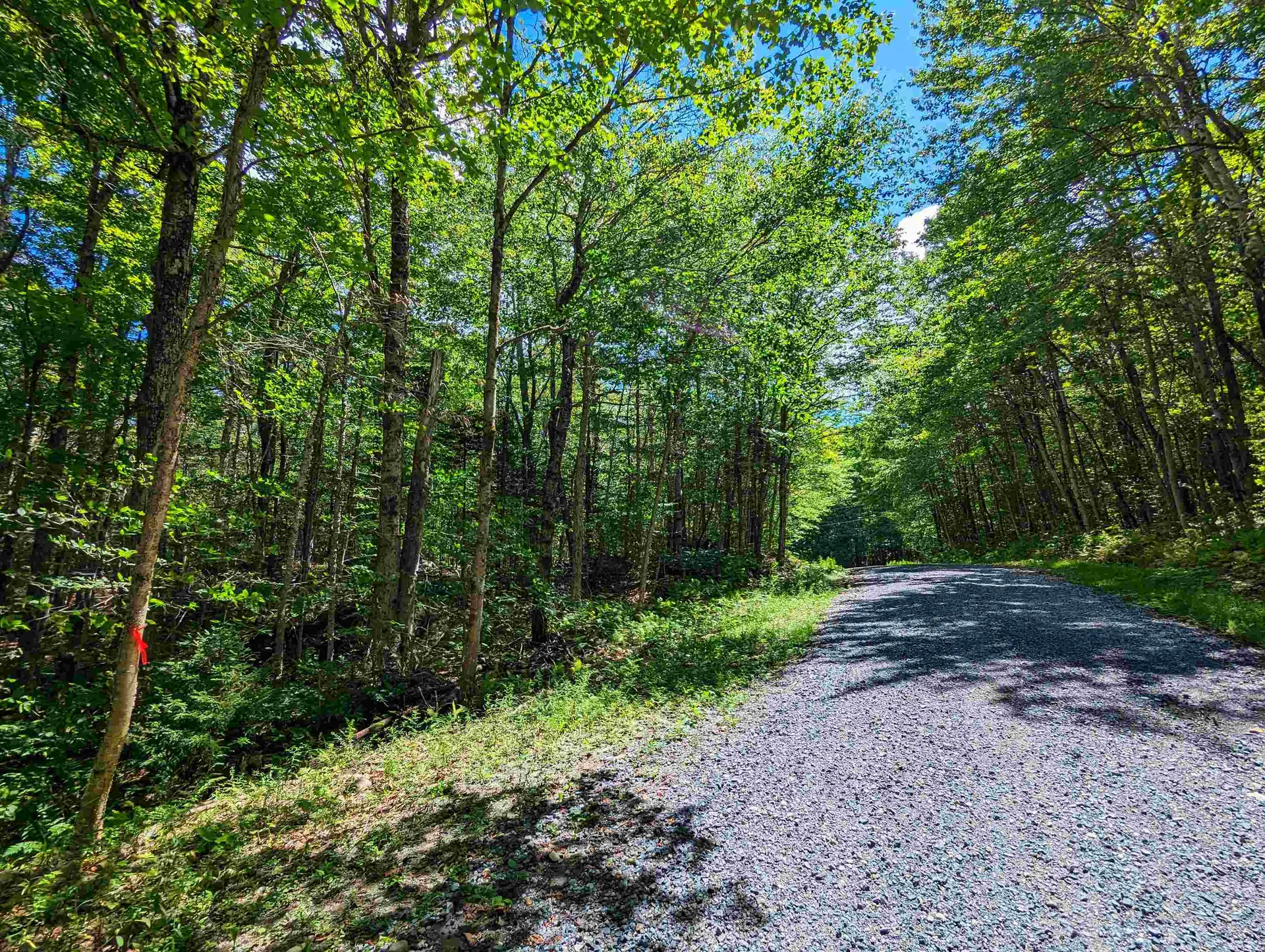 Alpenwald Lane Readsboro VT 05350