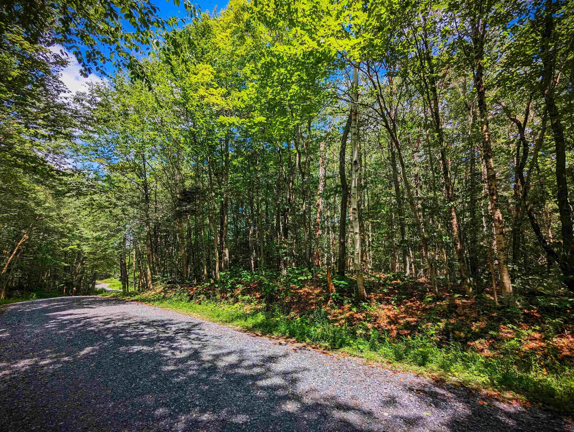 Alpenwald Lane Readsboro VT 05350
