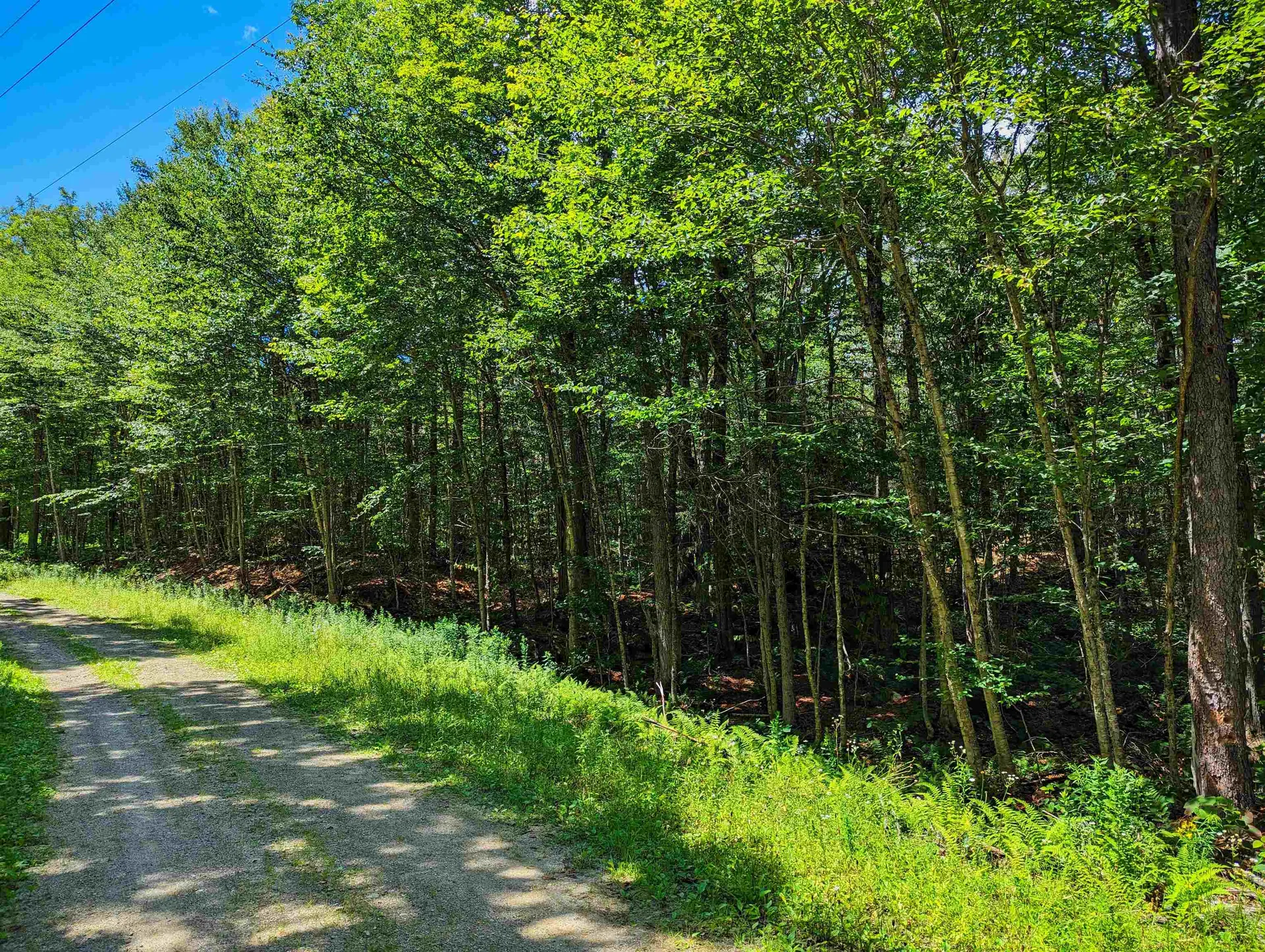 Alpenwald Lane Readsboro VT 05350