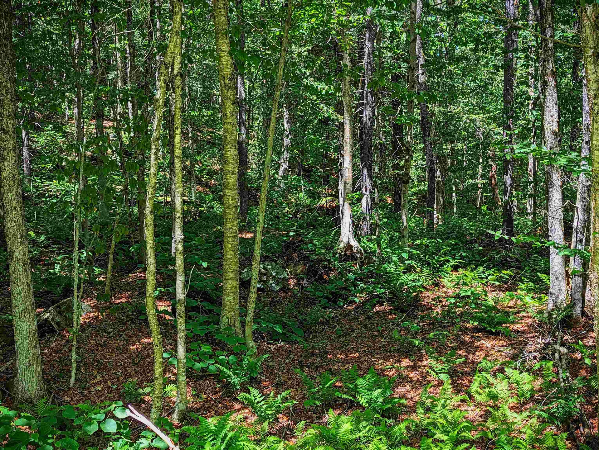 Alpenwald Lane Readsboro VT 05350