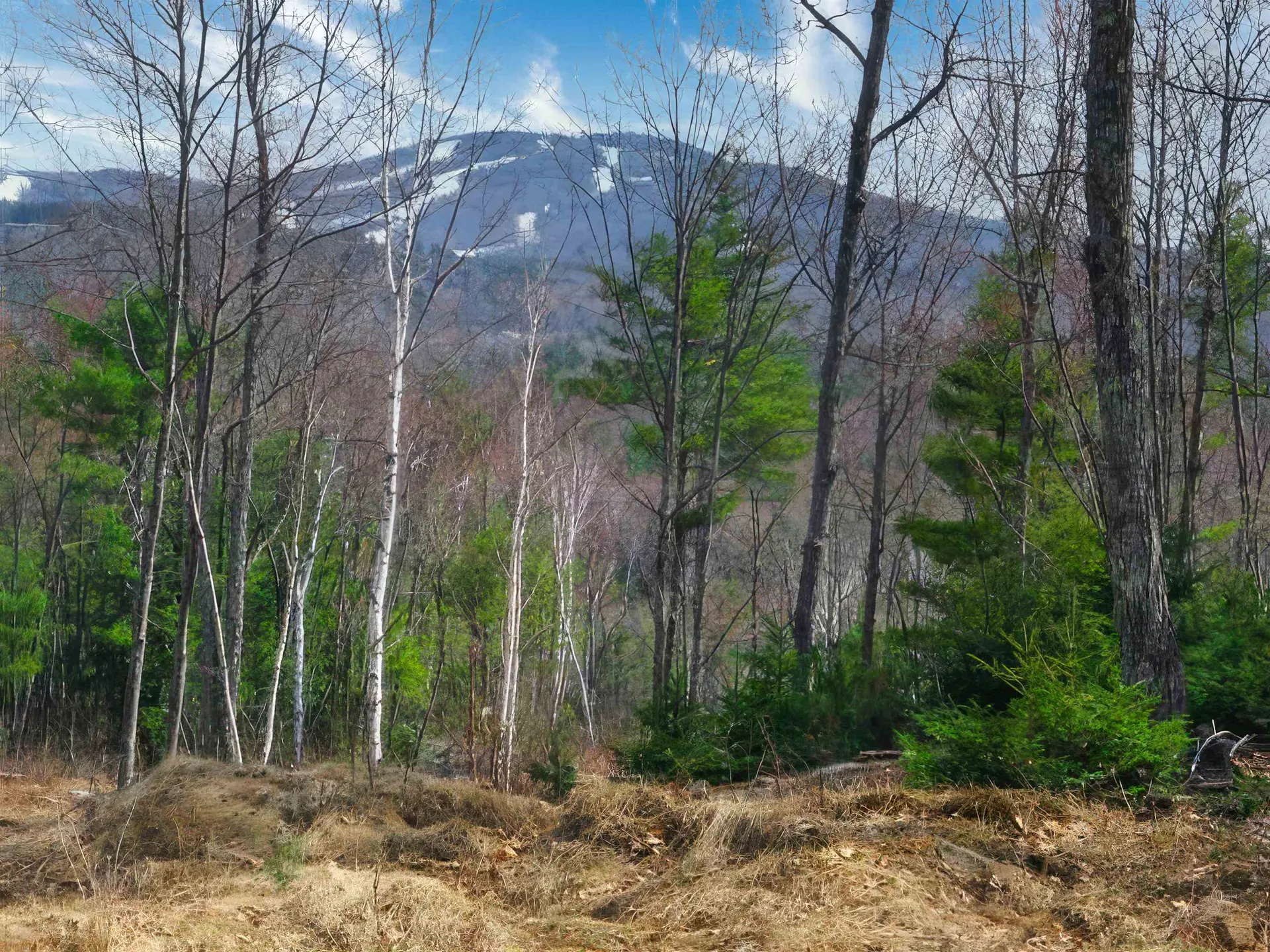 00 Timothy Road Sunapee NH 03782