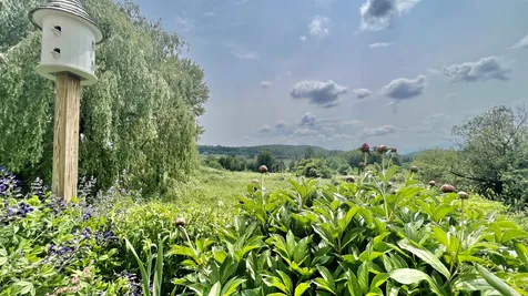1216 North Road Fletcher VT 05448