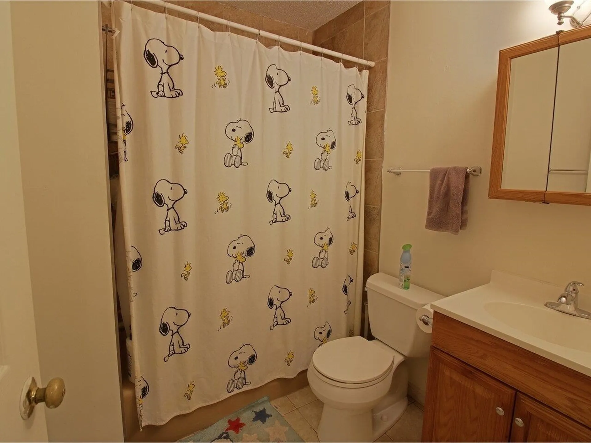 47 South Williams Street Burlington VT 05401