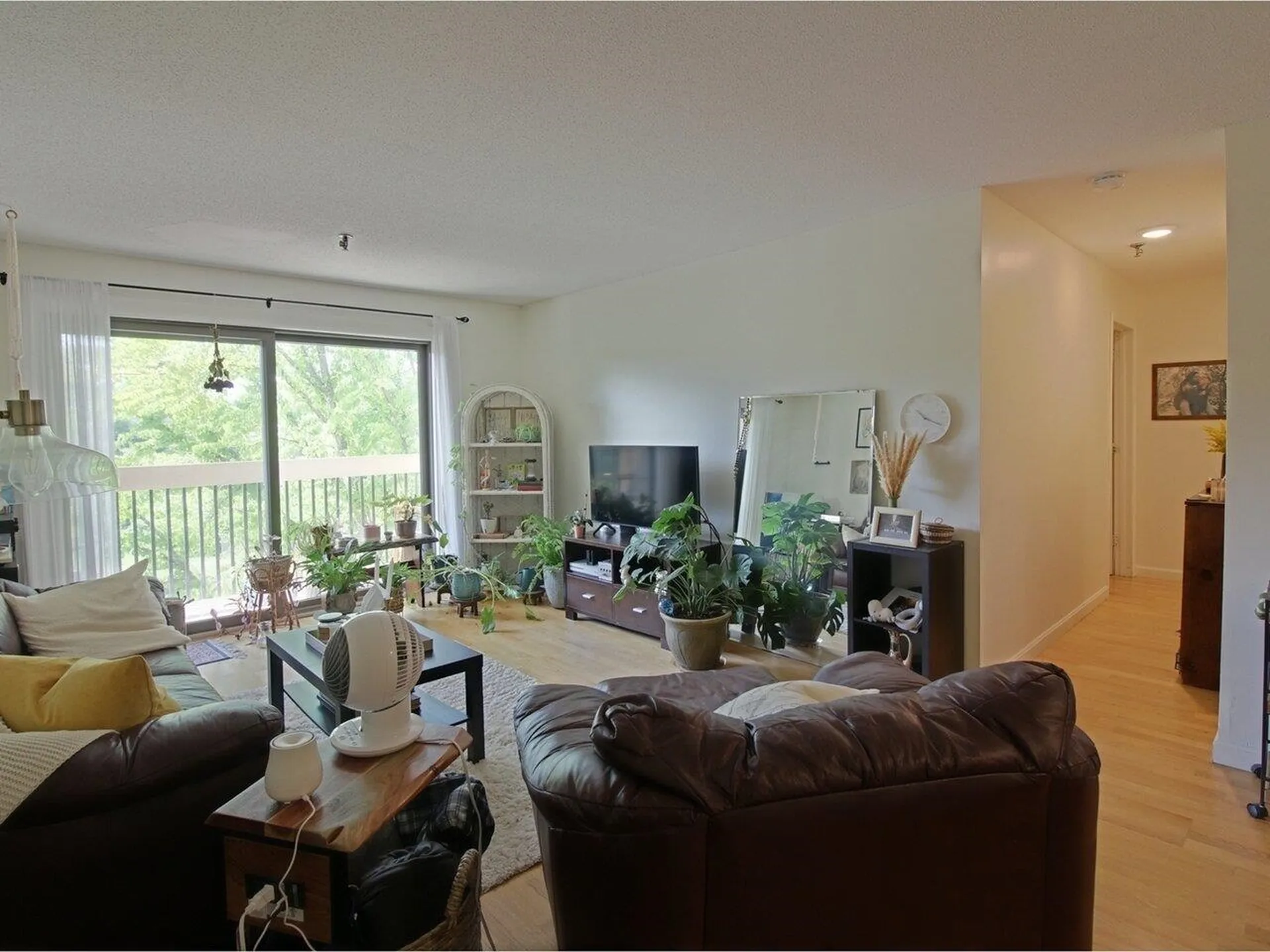 47 South Williams Street Burlington VT 05401