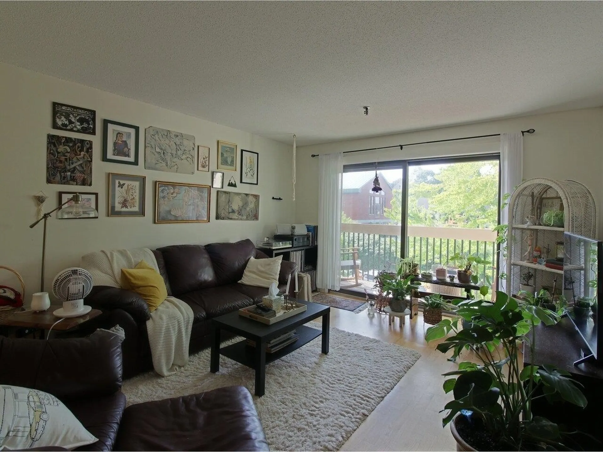 47 South Williams Street Burlington VT 05401