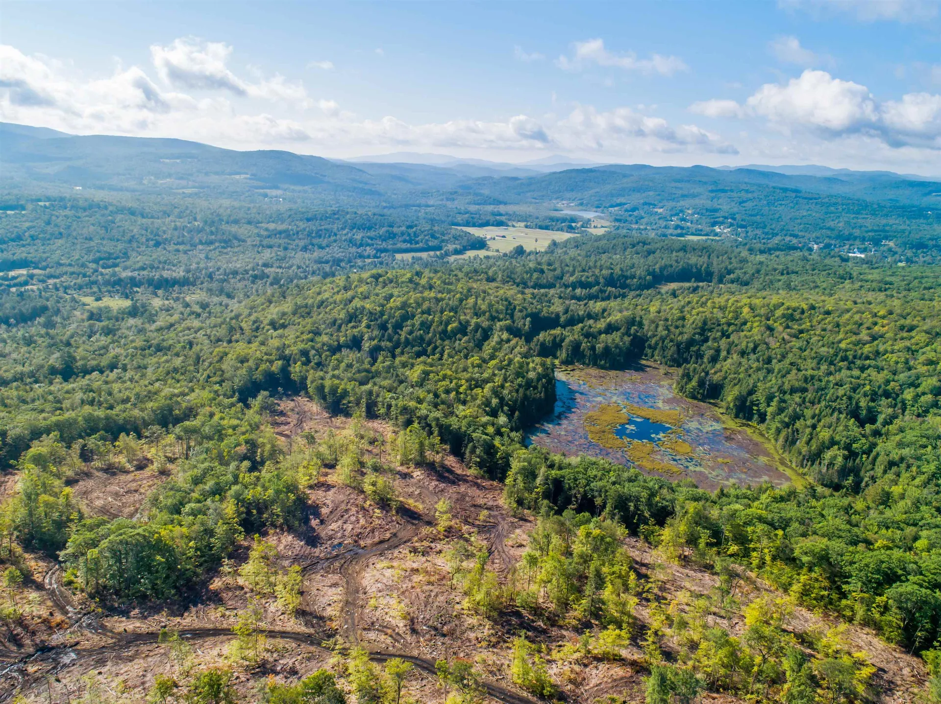 Lot 97 Fernwood Farms Road Canaan NH 03741